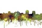 Colorado Springs Colorado Skyline - Safari Buff