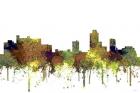 New Brunswick New Jersey Skyline - Safari Buff