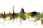 Washington DC Skyline - Safari Buff