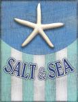 Starfish Soft Font