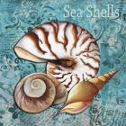 Sea Shells