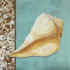 Yellow Seashell - Tan Side Border Teal Crackle Back