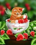 Strawberry Kitten