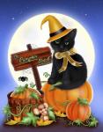 The Pumpkin Patch