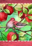 Red Finches With Apples
