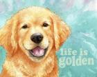 Life Is Golden Retriever