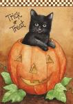 Trick Or Treat Black Cat