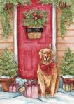 Golden At Christmas Door