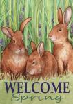 Bunnies Welcome Spring