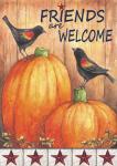Pumpkin Blackbird Friends Welcome