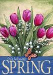 Welcome Spring Tulips