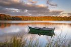 Green Boat on Salt Pond