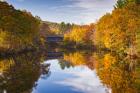 Wooden Reflection