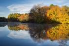 Color On Grist Mill Pond