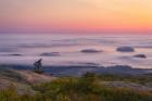 Islands In The Fog