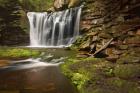 Spring At Elakala Falls