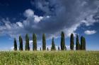 Clouds over Cypress Hill