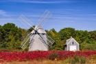 Higgins Farm Windmill