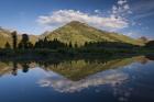 Mirror Reflection on Paradise Pond