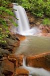 Spring at Douglas Falls