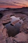 Tide Pool Geometry