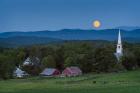 Cow Under the Moon