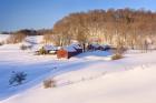 Jenne Farm Winter