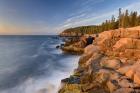 Acadia Sunrise