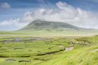 The Harris Saltings