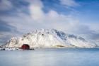 Red Shack On Fjord