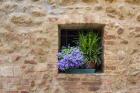 Pienza Window