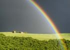 Rain and Rainbow