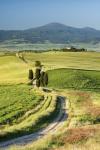 Road to Terrapille - Vertical