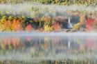 Reflection In Fog