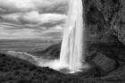 August at Seljalandsfoss BW