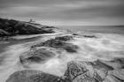 Beavertail Action