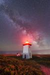 Night Tower - Vertical