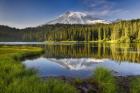 Reflection Lake Vista