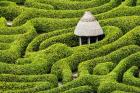 Green Maze