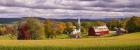 Autumn Corn - Panorama
