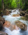 Cascade on Dry Brook