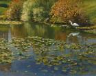 Plein Air Egret 1