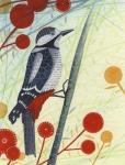 Woodpecker