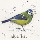 Blue Tit