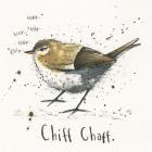 Chiffchaff