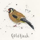 Goldfinch