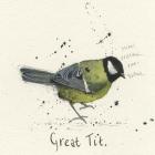 Great Tit