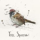 Tree Sparrow