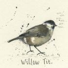 Willow Tit