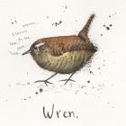 Wren